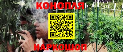 бошки Моздок