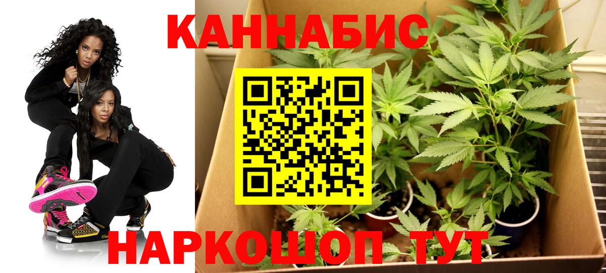 Бошки марихуана семена  Вход с VPN  Бошки марихуана SATIVA & INDICA  Конопля OG Kush  Туапсе 